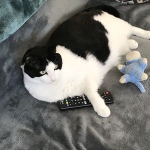 Meet your Posher, Seaneen